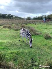 Blåvand Zoo