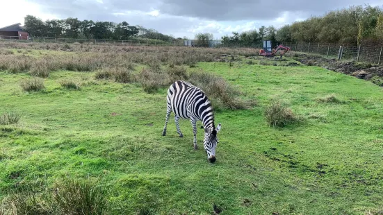 Blåvand Zoo