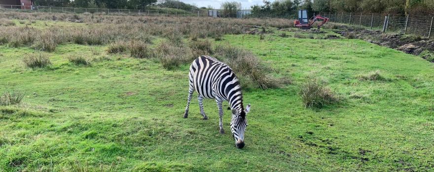 Blåvand Zoo