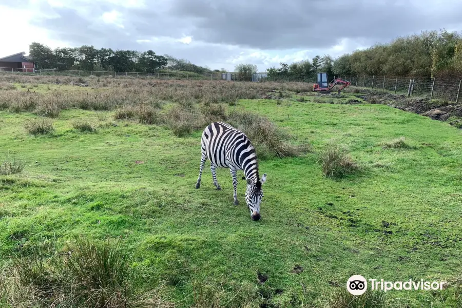 Blåvand Zoo