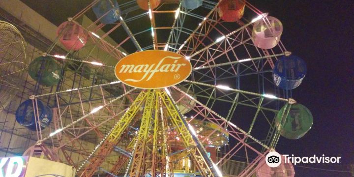 Joyland