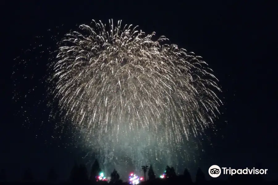 朝霞市民まつり彩夏祭