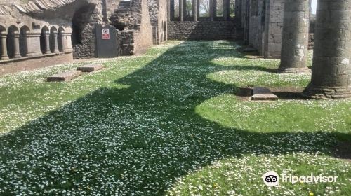 Ardfert Friary