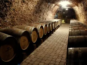 Bodega El Fabulista