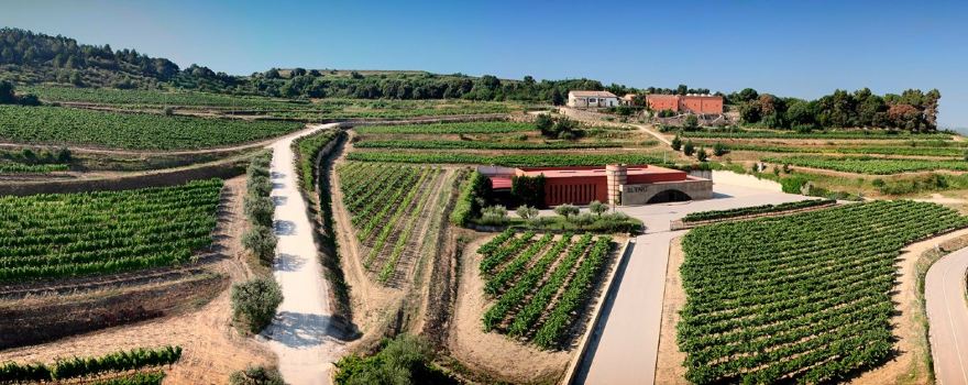 Llopart Cava