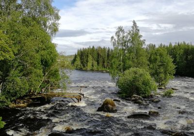 Laukaa