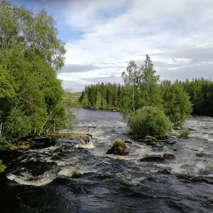 Laukaa