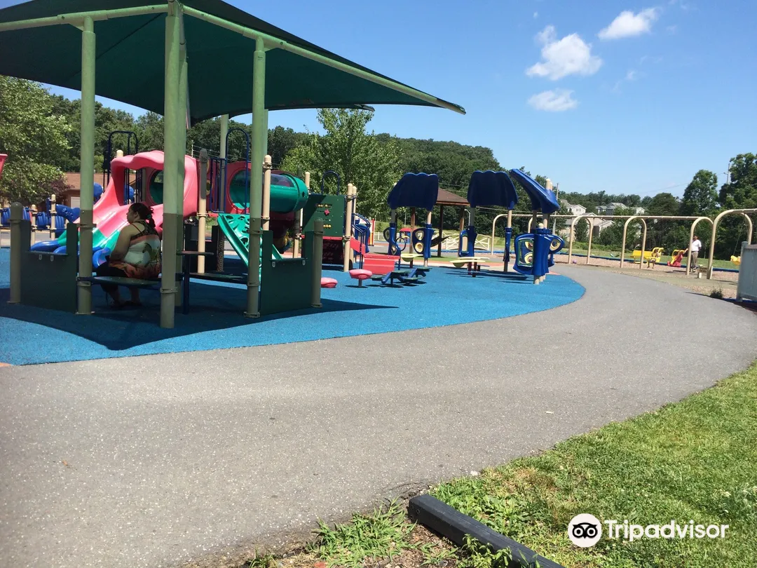 5_A Dream Come True Playground