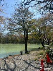 Hakuba Happo Nire Pond Fishing Center