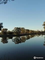 Goondiwindi Botanic Gardens of the Western Woodlands