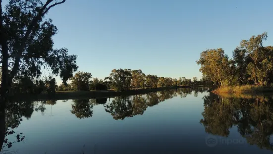 Goondiwindi Botanic Gardens of the Western Woodlands