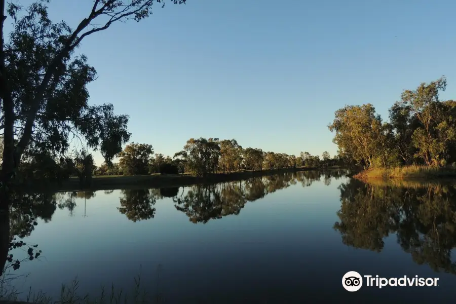 Goondiwindi Botanic Gardens of the Western Woodlands