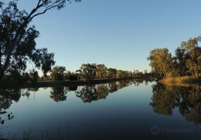 Goondiwindi Botanic Gardens of the Western Woodlands