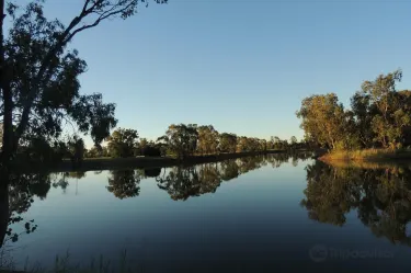 Goondiwindi Botanic Gardens of the Western Woodlands Hotels in Goondiwindi