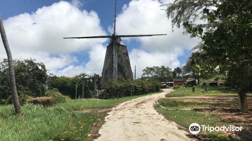 Morgan Lewis Sugar Mill