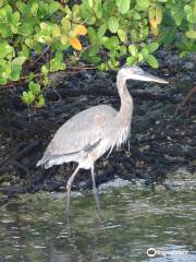 Snook Islands Natural Area