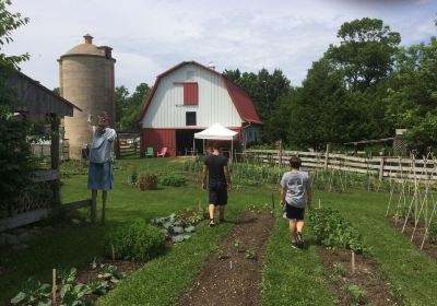 Waseda Farms & Country Market