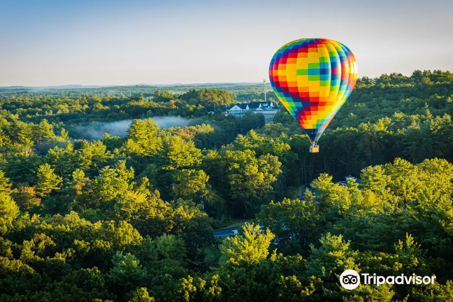 High 5 Ballooning