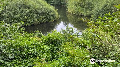 Trafford Ecology Park, Groundwork