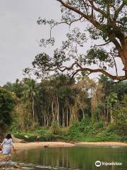 Ponmudi Hill Station