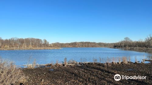 Westminster Ponds/Pond Mills Conservation Area