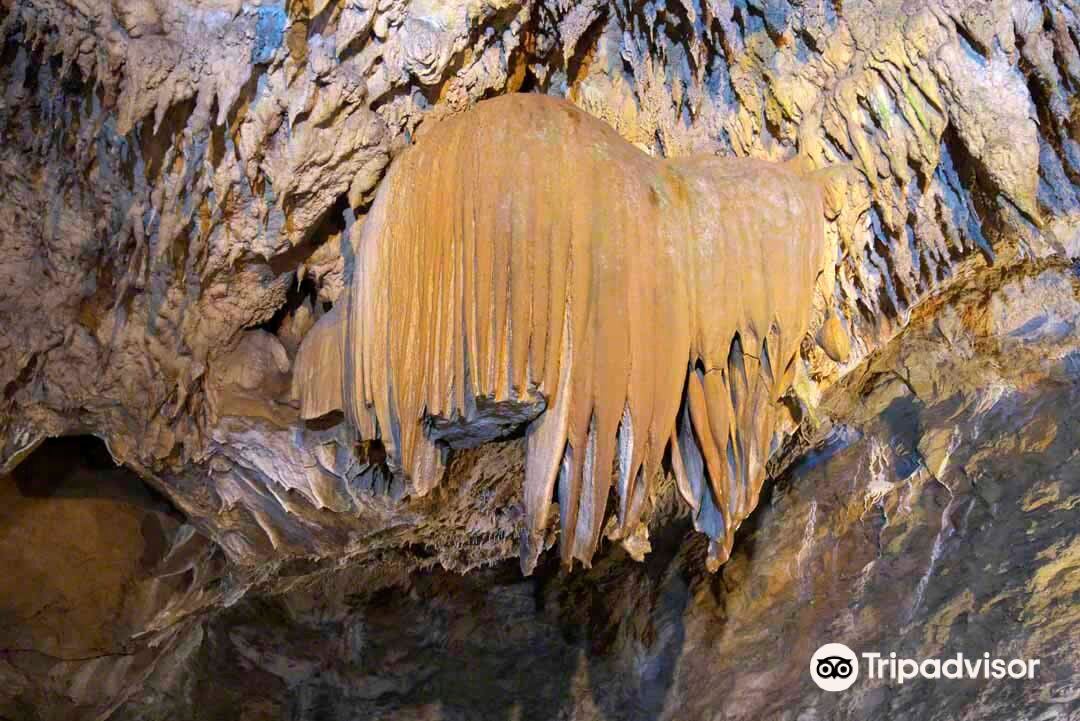 沖縄 CAVE OKINAWA【鍾乳洞】入場Eチケット 予約