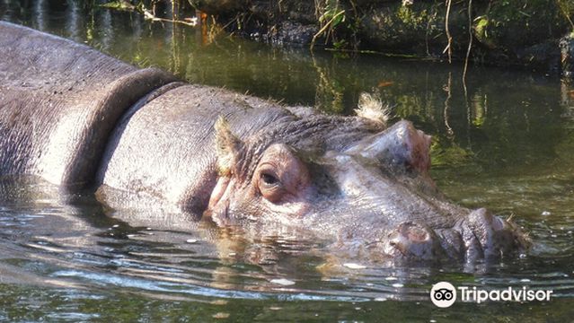 Ellie Schiller Homosassa Springs Wildlife State Park West Entrance