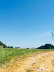 Toora Wind Farm