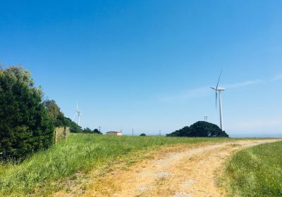 Toora Wind Farm