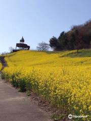 翠波高原