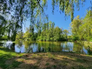 ヘンリー・デュナント公園