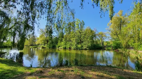 ヘンリー・デュナント公園