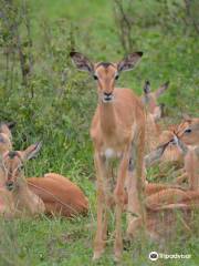 Phabeni Gate - Kruger National Park