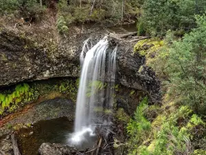 Tarraleah Falls