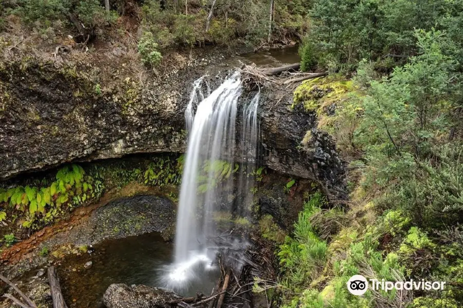 Tarraleah Falls