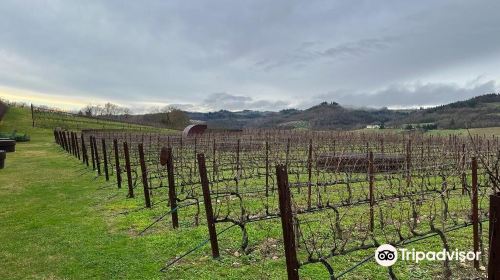 Cantina Antinori