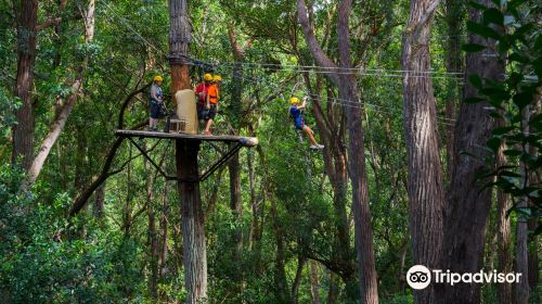 Kohala Zipline