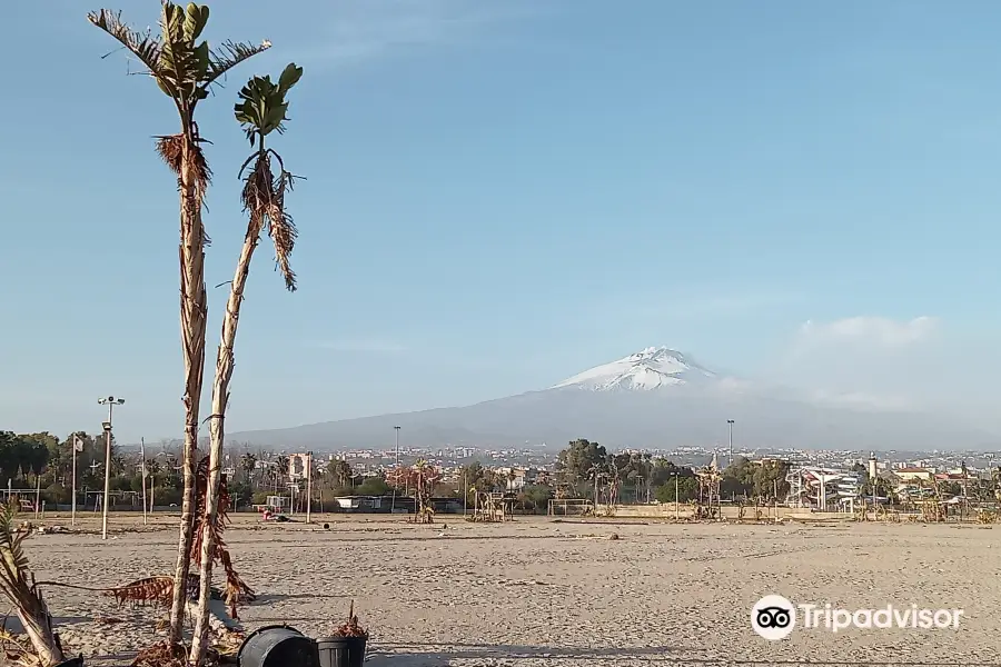 Palaghiaccio Città di Catania