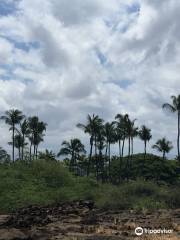 Kalahuipua'a Historic Park