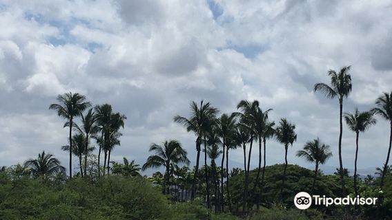 Kalahuipua'a Historic Park
