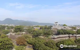 熊本市役所　大ホール