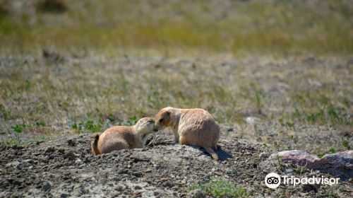 Grasslands National Park