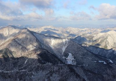 四國山嶽植物園・岳人の森