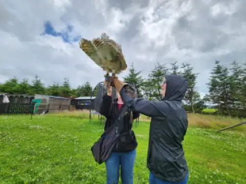 Speyside Falconry Pest Management