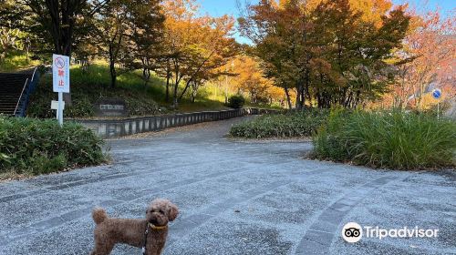 都筑中央公園