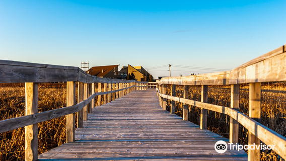 Plage Aboiteau Beach