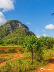 Riding Vinales