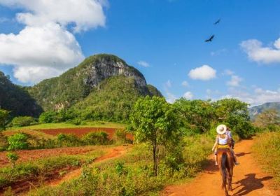Riding Vinales