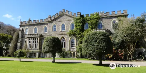 Hartland Abbey & Gardens