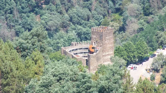 Castle of Lousa